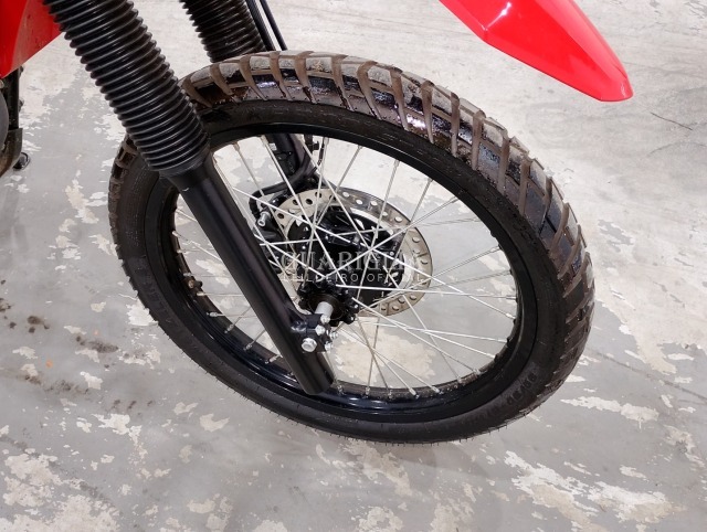 HONDA/XR300L TORNADO - S*****4 - 2025 - 2025 - ALC/GAS